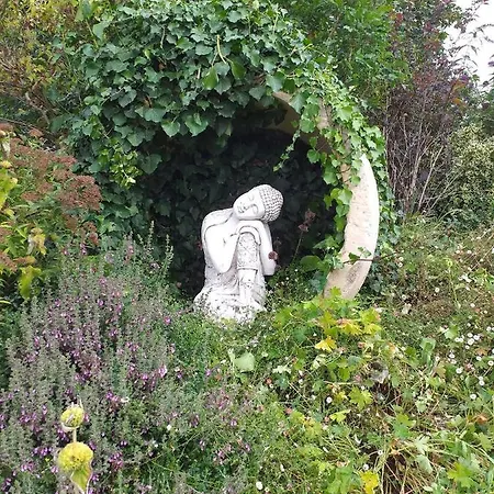 Maison Coquelicot Bed & Breakfast Saint-Georges-du-Bois (Charente-Maritime)