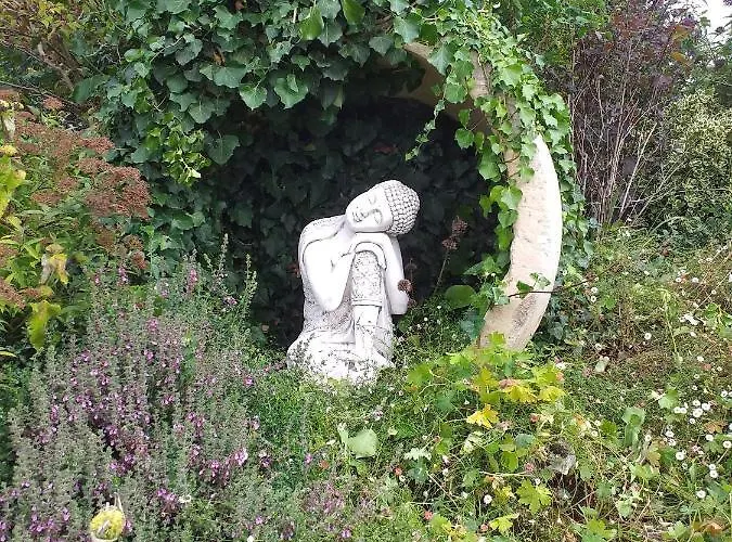 Maison Coquelicot Bed and Breakfast Saint-Georges-du-Bois (Charente-Maritime)